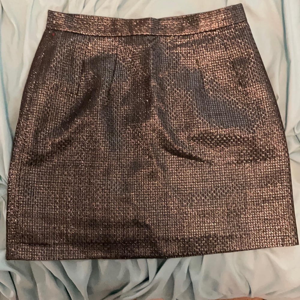 Silver skirt
